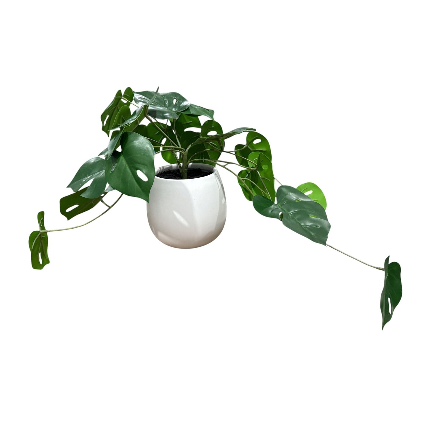 Artificial Monstera Leaf Plant In White Ceramic Pot By Threshold